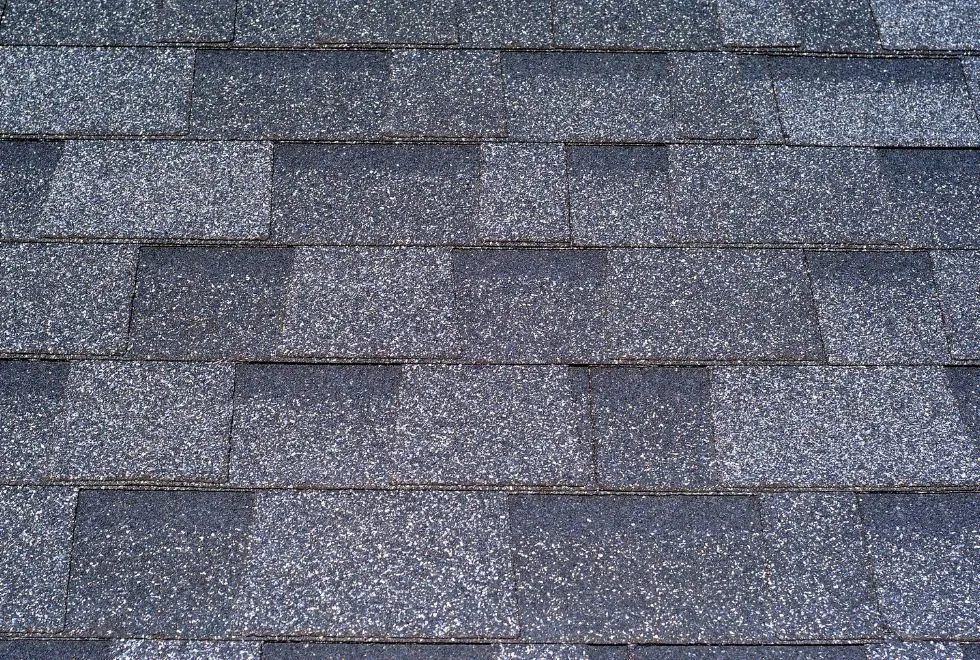 หลังคาชิงเกิ้ลรูฟคืออะไร?